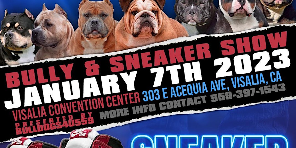 The American Bully Kennel Club/Sneaker Show - The Sun-Gazette Newspaper